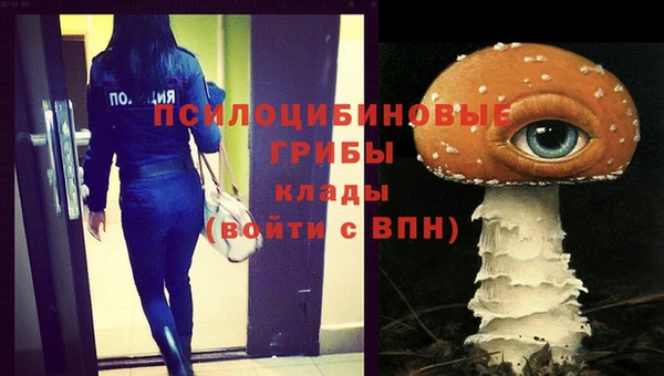 герыч Зеленокумск