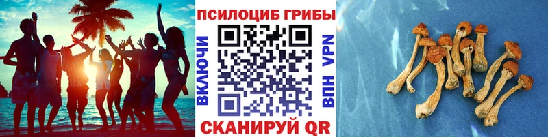 Псилоцибиновые грибы мицелий  гидра tor  Саяногорск 