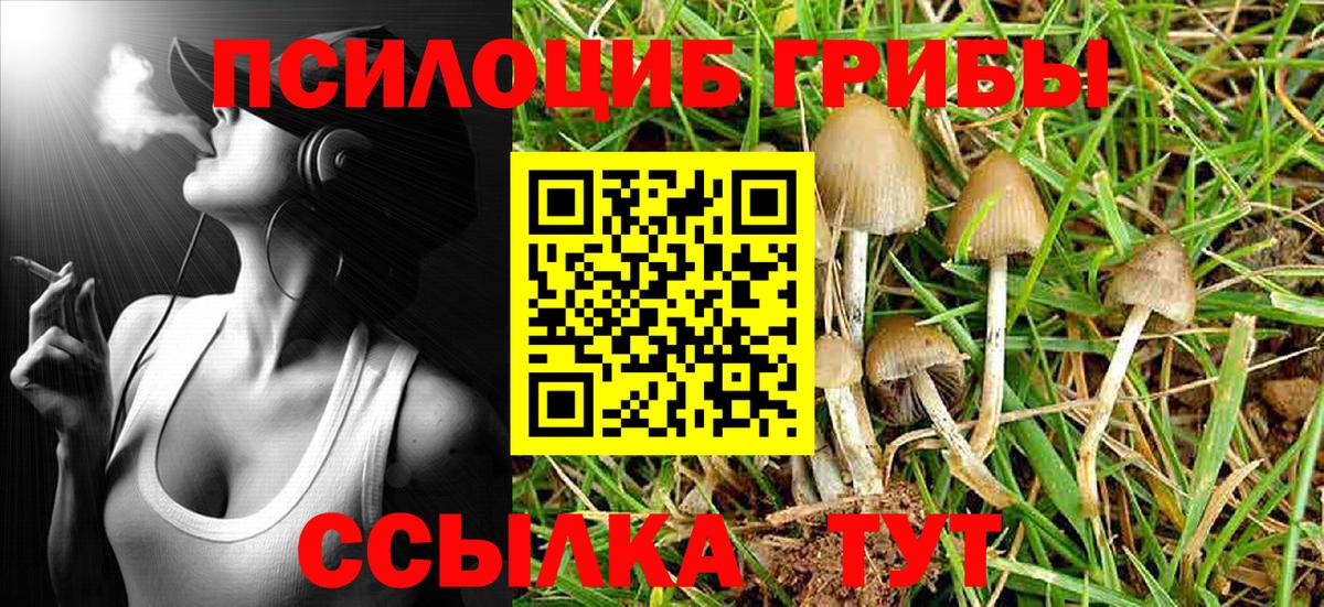 Псилоцибиновые грибы GOLDEN TEACHER  Галлюциногенные грибы MAGIC MUSHROOMS  Вход с VPN  Саяногорск 