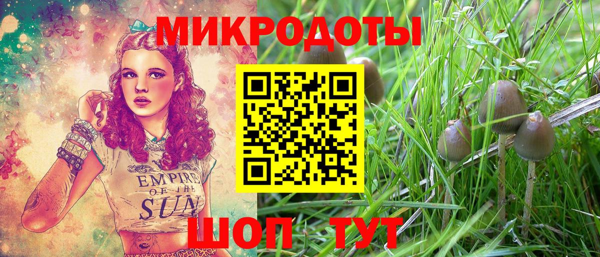 Галлюциногенные грибы GOLDEN TEACHER Саяногорск